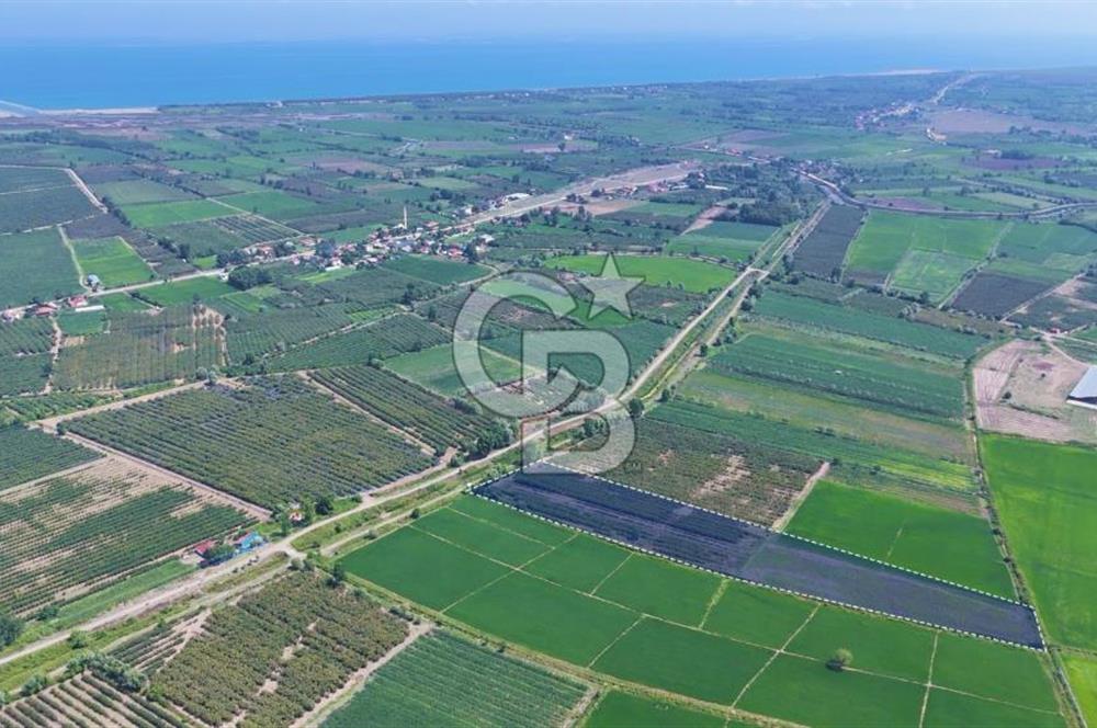 Çarşamba'da Tek Tapu Satılık Tarla