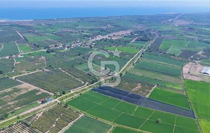 Çarşamba'da Tek Tapu Satılık Tarla