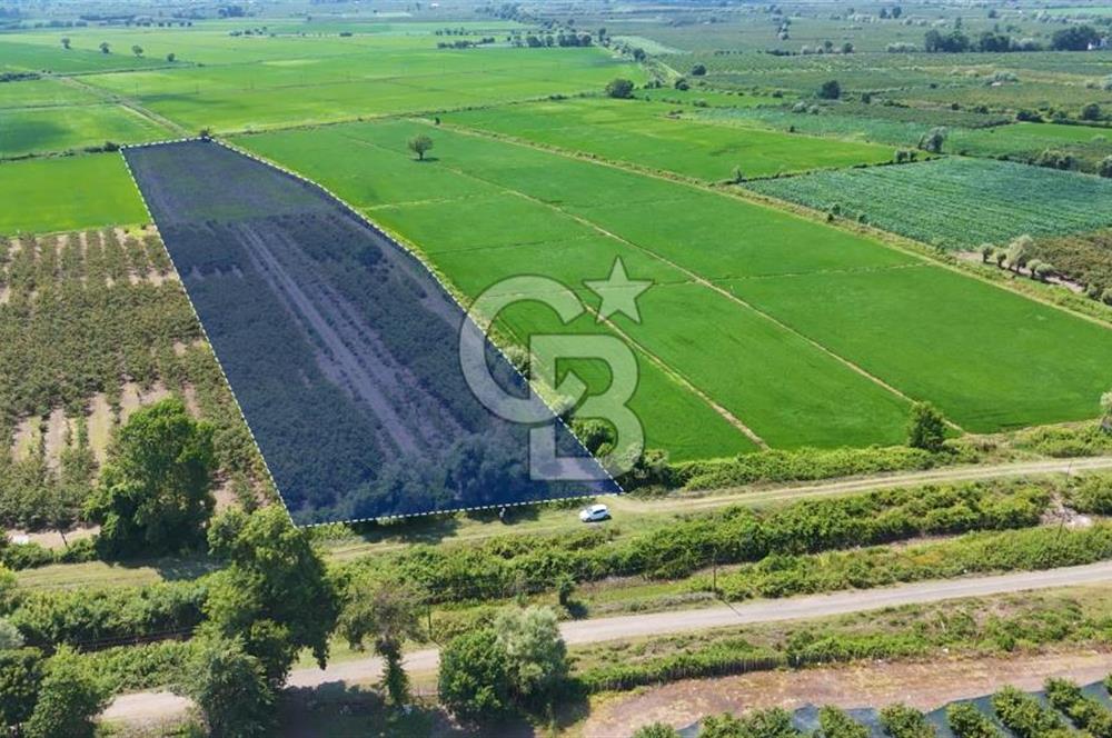Çarşamba'da Tek Tapu Satılık Tarla