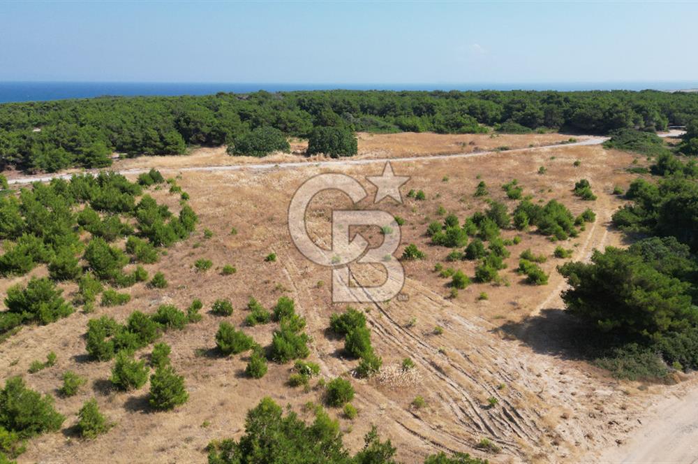 BOZCAADA POLENTE RÜZGAR GÜLLERİNDE YOLA CEPHELİ SATILIK TARLA