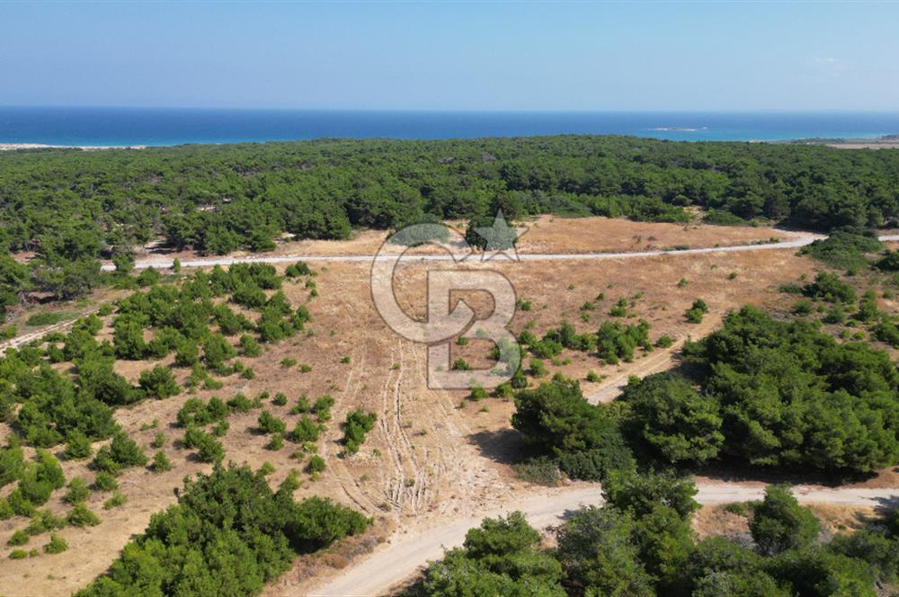 BOZCAADA POLENTE RÜZGAR GÜLLERİNDE YOLA CEPHELİ SATILIK TARLA