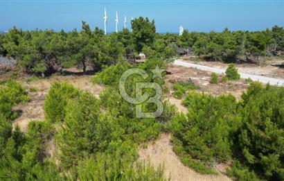 BOZCAADA POLENTE RÜZGAR GÜLLERİNDE YOLA CEPHELİ SATILIK TARLA
