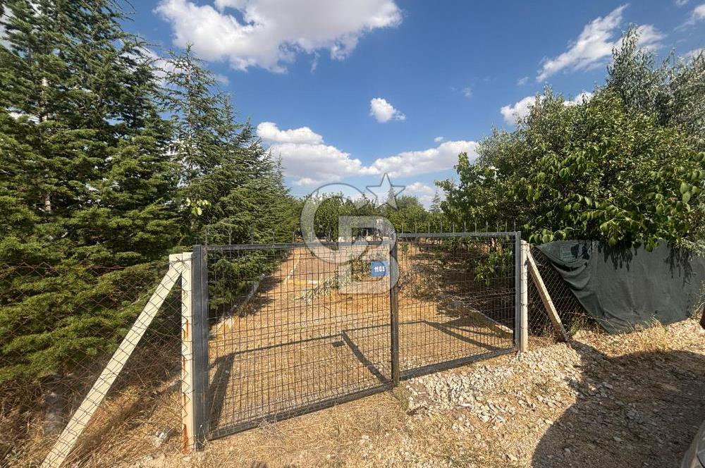 CB Vizyon'dan Gökçehöyük Meneviş Evlerinde 500 m2 Satılık Bahçe