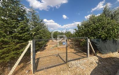 CB Vizyon'dan Gökçehöyük Meneviş Evlerinde 500 m2 Satılık Bahçe