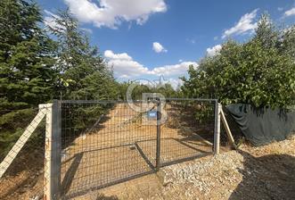 CB Vizyon'dan Gökçehöyük Meneviş Evlerinde 500 m2 Satılık Bahçe - 2 - 366025