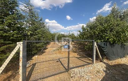 CB Vizyon'dan Gökçehöyük Meneviş Evlerinde 500 m2 Satılık Bahçe