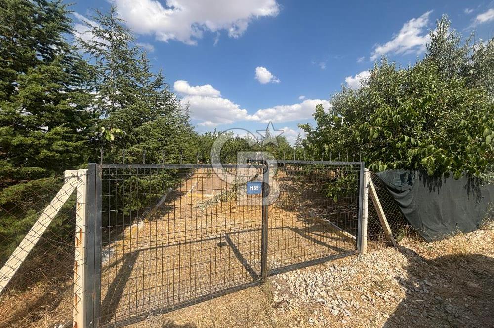 CB Vizyon'dan Gökçehöyük Meneviş Evlerinde 500 m2 Satılık Bahçe