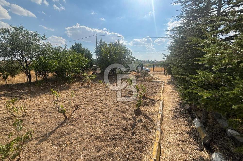 CB Vizyon'dan Gökçehöyük Meneviş Evlerinde 500 m2 Satılık Bahçe