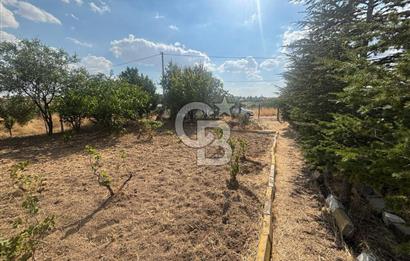 CB Vizyon'dan Gökçehöyük Meneviş Evlerinde 500 m2 Satılık Bahçe
