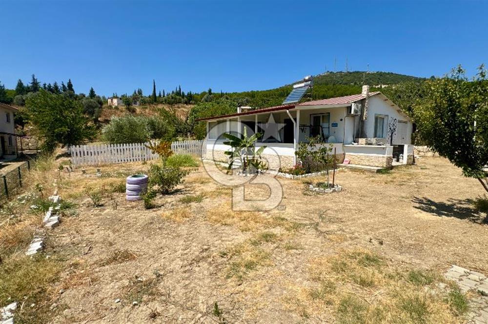 Seferihisar Turgut Köyü’nde 1.000 m² Köy İçi İmarlı Tarla