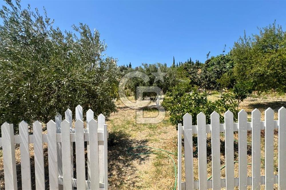 Seferihisar Turgut Köyü’nde 1.000 m² Köy İçi İmarlı Tarla
