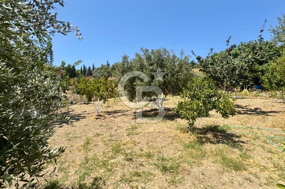 Seferihisar Turgut Köyü’nde 1.000 m² Köy İçi İmarlı Tarla
