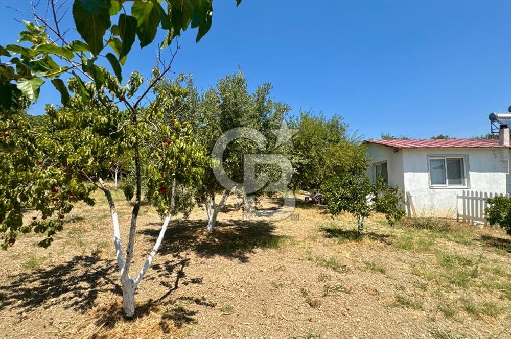 Seferihisar Turgut Köyü’nde 1.000 m² Köy İçi İmarlı Tarla