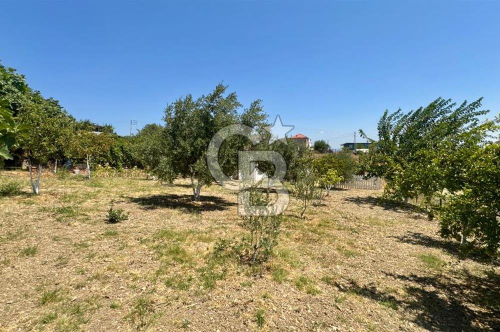 Seferihisar Turgut Köyü’nde 1.000 m² Köy İçi İmarlı Tarla