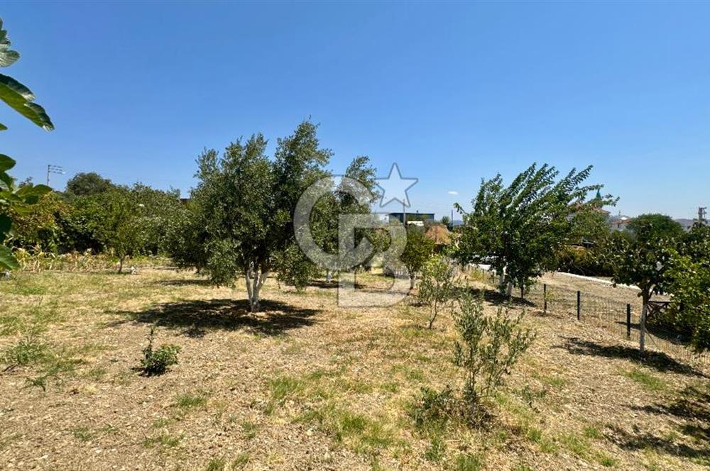 Seferihisar Turgut Köyü’nde 1.000 m² Köy İçi İmarlı Tarla