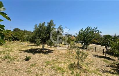 Seferihisar Turgut Köyü’nde 1.000 m² Köy İçi İmarlı Tarla