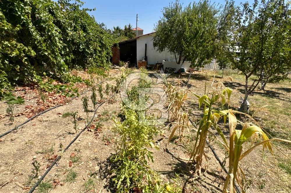Seferihisar Turgut Köyü’nde 1.000 m² Köy İçi İmarlı Tarla