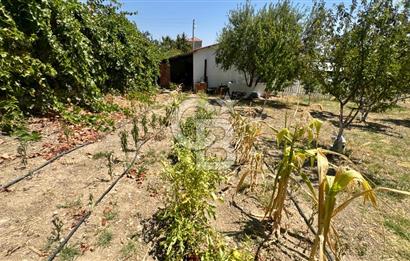 Seferihisar Turgut Köyü’nde 1.000 m² Köy İçi İmarlı Tarla