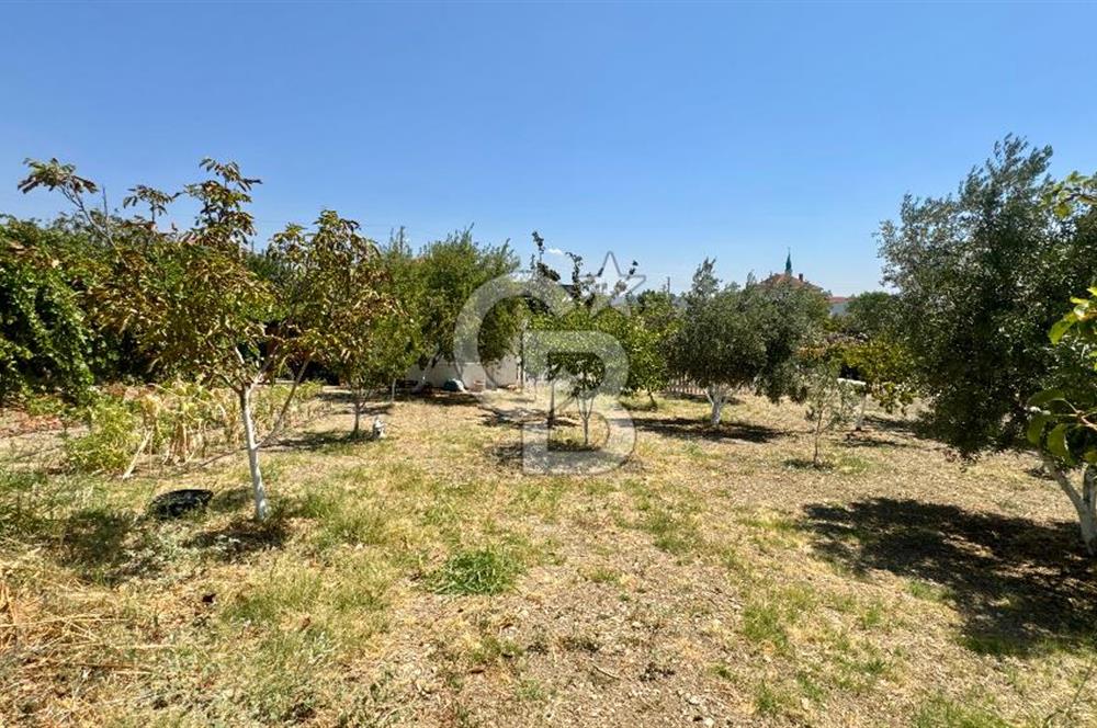 Seferihisar Turgut Köyü’nde 1.000 m² Köy İçi İmarlı Tarla