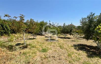 Seferihisar Turgut Köyü’nde 1.000 m² Köy İçi İmarlı Tarla