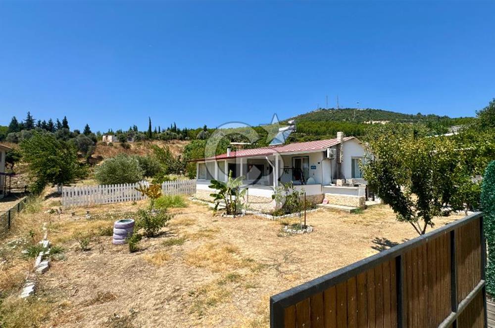 Seferihisar Turgut Köyü’nde 1.000 m² Köy İçi İmarlı Tarla