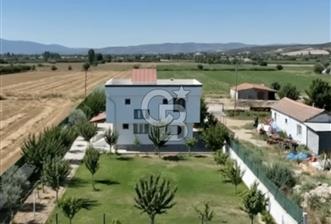 Subaşı Naime Köyü'nde 85 Meyve Ağaçlı, Güvenlikli, Sıfır Masraf Müstakil Yaşam - 1 - 365698