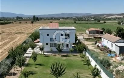 Subaşı Naime Köyü'nde 85 Meyve Ağaçlı, Güvenlikli, Sıfır Masraf Müstakil Yaşam