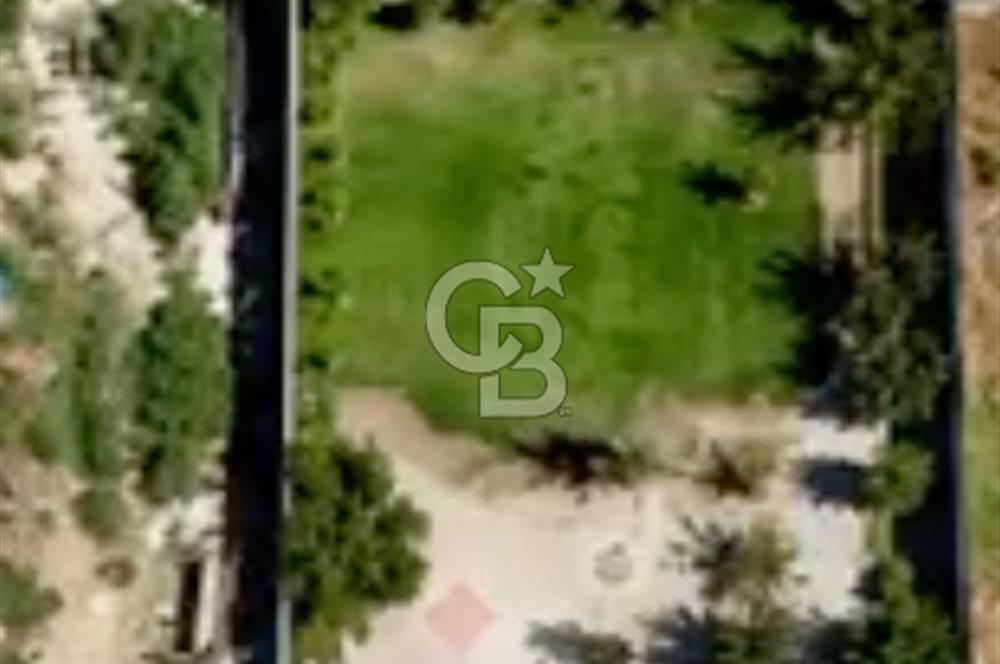 Subaşı Naime Köyü'nde 85 Meyve Ağaçlı, Güvenlikli, Sıfır Masraf Müstakil Yaşam