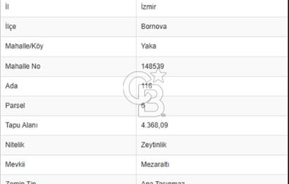 İZMİR BORNOVA ÇİÇEKLİ SINIRINDA | 4.368 m² TEK TAPU ZEYTİNLİK | 160 m² NUMARATAJLI YAPI | ÇİFT KADASTRO YOL CEPHELİ PRESTİJLİ YATIRIM