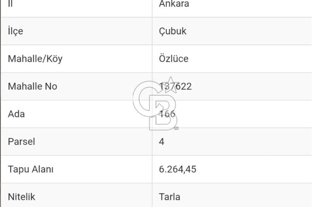 FIRSAT!! TEK TAPU, ASFALT YOL CEPHELİ, BAHÇE İÇİN UYGUN TARLA!!