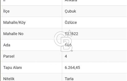 FIRSAT!! TEK TAPU, ASFALT YOL CEPHELİ, BAHÇE İÇİN UYGUN TARLA!!