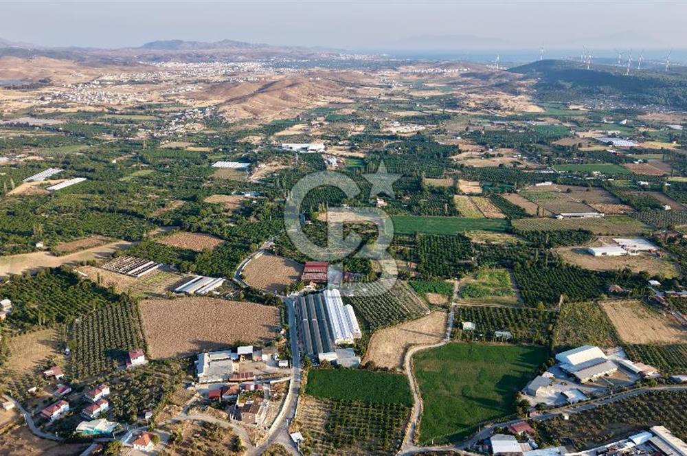 Seferihisar Turgut Köyü’nde 1.000 m² Köy İçi İmarlı Tarla