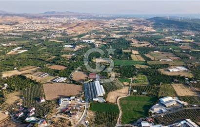 Seferihisar Turgut Köyü’nde 1.000 m² Köy İçi İmarlı Tarla
