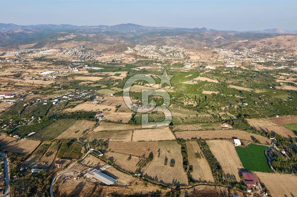 Seferihisar Turgut Köyü’nde 1.000 m² Köy İçi İmarlı Tarla