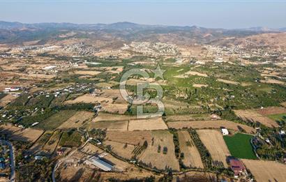 Seferihisar Turgut Köyü’nde 1.000 m² Köy İçi İmarlı Tarla