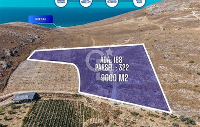ÇANAKKALE GÖZTEPE MEVKİİ KADASTRAL YOL CEPHELİ SATILIK ARAZİ 
