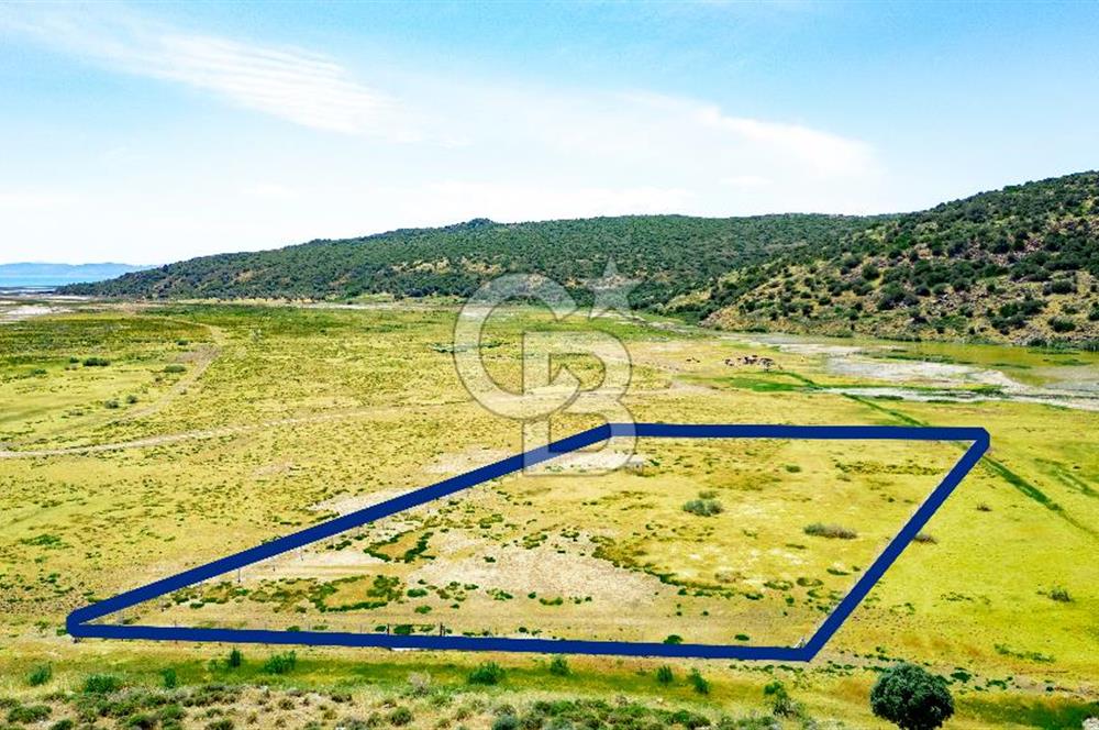 Foça Yenibağarası'nda Satılık Tarla