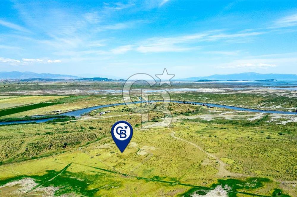 Foça Yenibağarası'nda Satılık Tarla