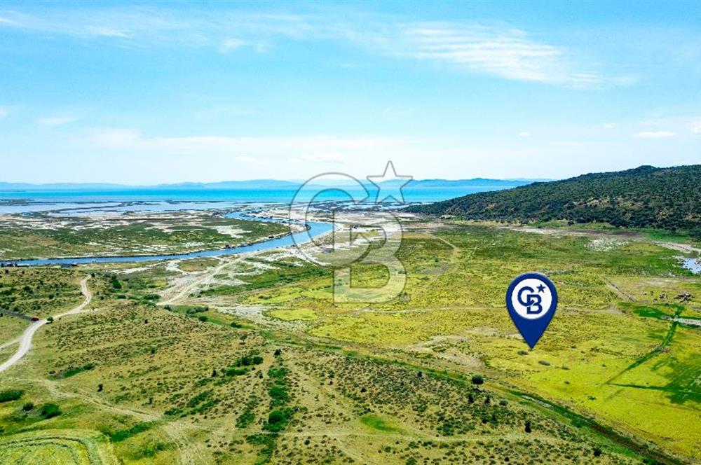 Foça Yenibağarası'nda Satılık Tarla