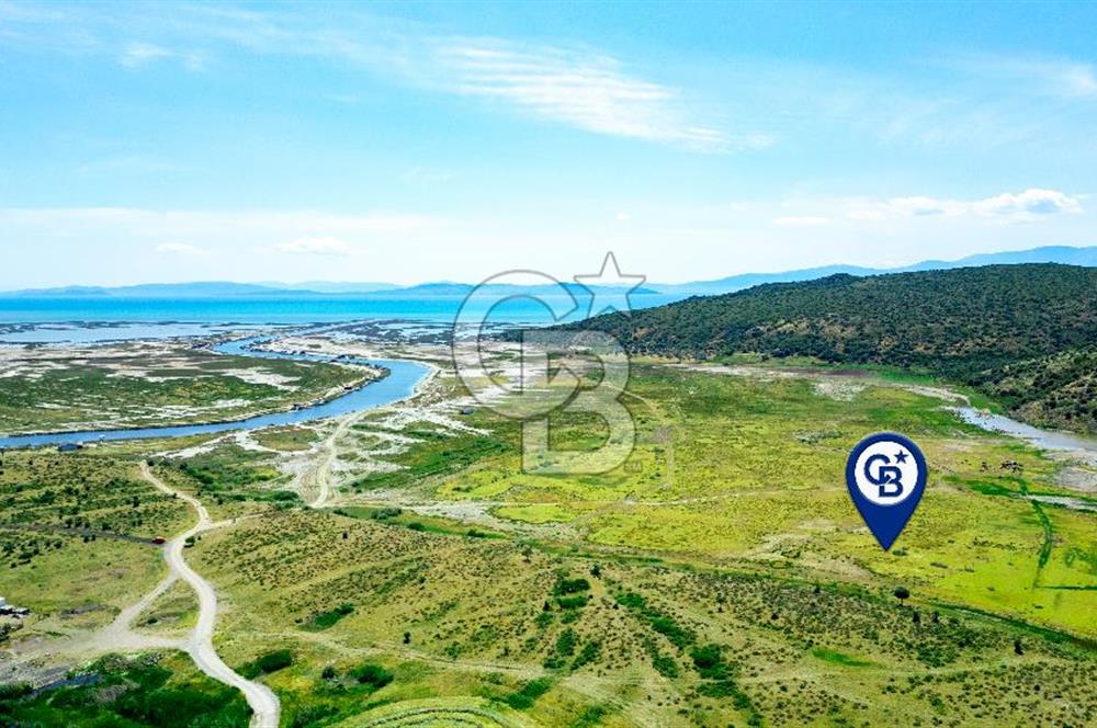Foça Yenibağarası'nda Satılık Tarla