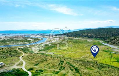 Foça Yenibağarası'nda Satılık Tarla