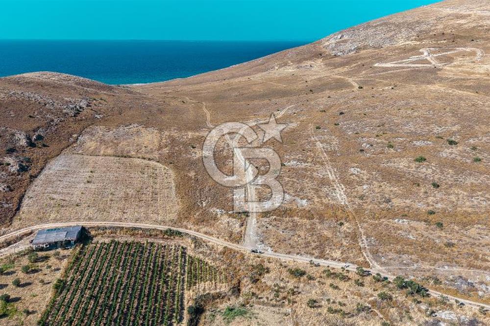 ÇANAKKALE GÖZTEPE MEVKİİ KADASTRAL YOL CEPHELİ SATILIK ARAZİ 