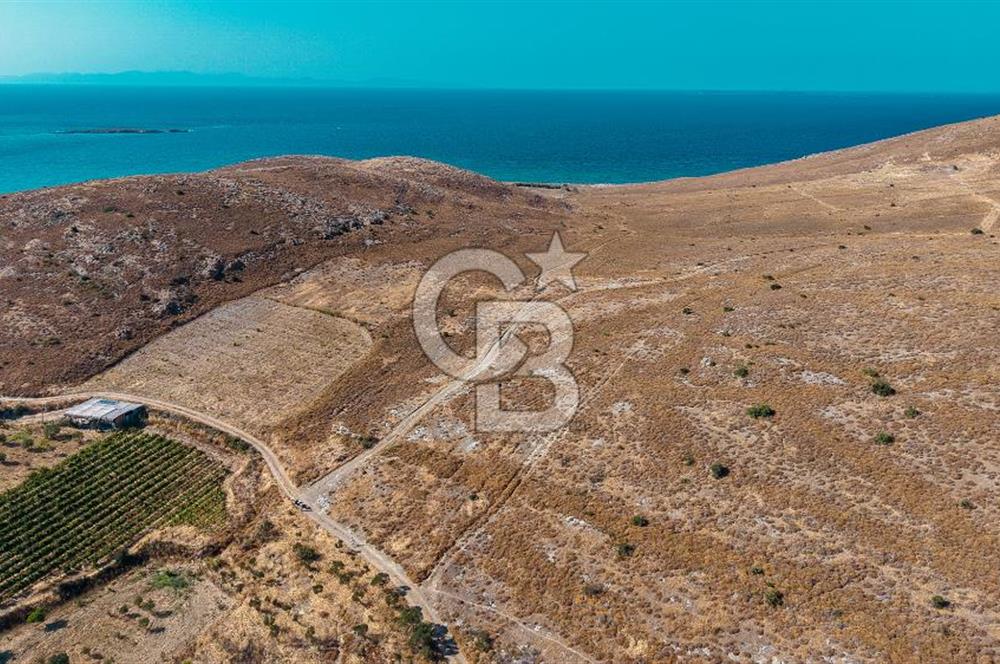 ÇANAKKALE GÖZTEPE MEVKİİ KADASTRAL YOL CEPHELİ SATILIK ARAZİ 