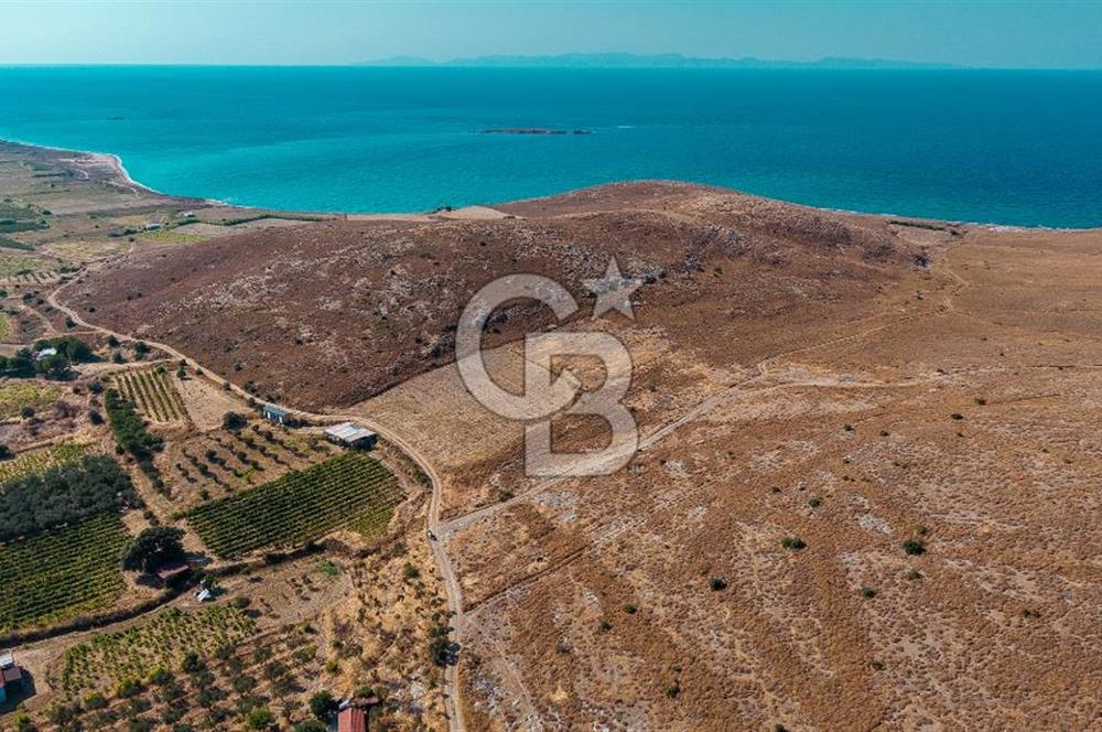 ÇANAKKALE GÖZTEPE MEVKİİ KADASTRAL YOL CEPHELİ SATILIK ARAZİ 
