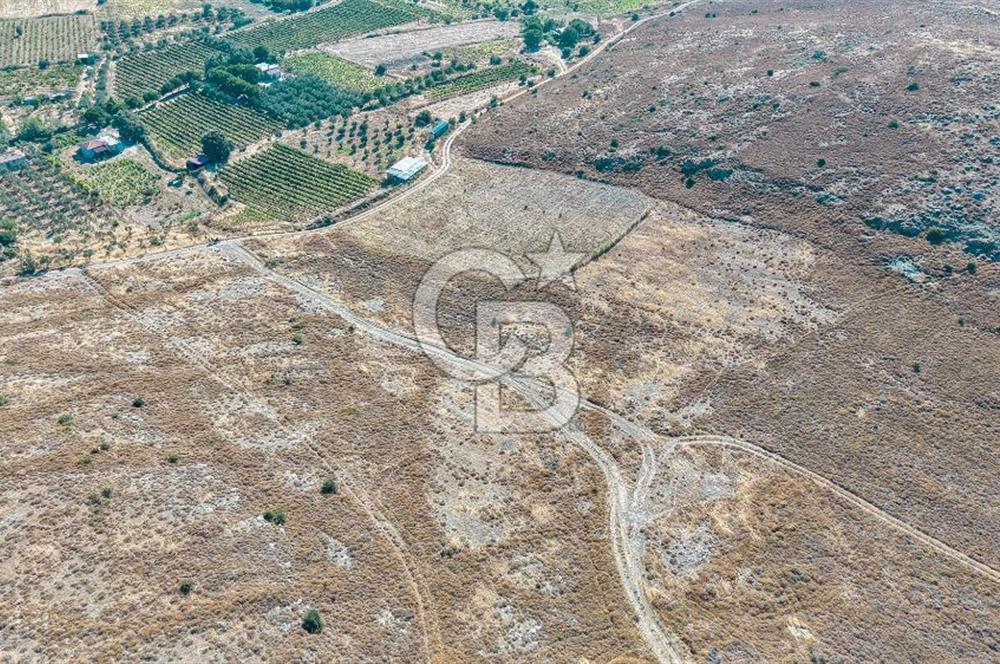 ÇANAKKALE GÖZTEPE MEVKİİ KADASTRAL YOL CEPHELİ SATILIK ARAZİ 