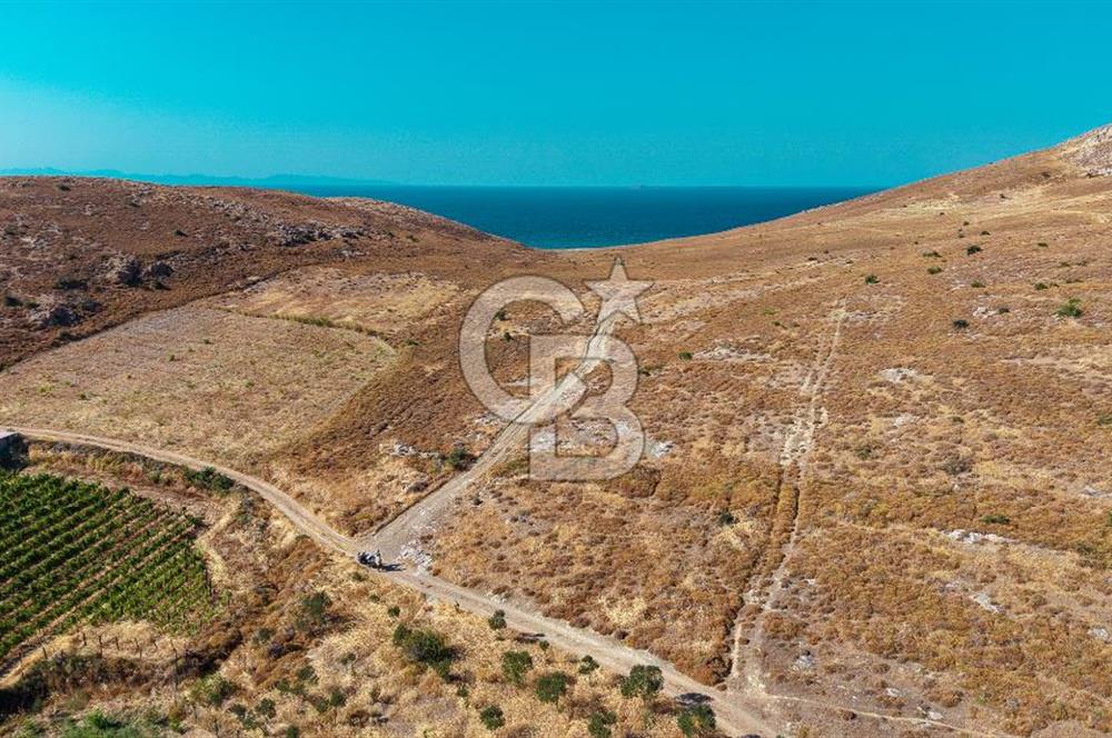 ÇANAKKALE GÖZTEPE MEVKİİ KADASTRAL YOL CEPHELİ SATILIK ARAZİ 