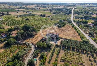 ÇANAKKALE BOZCAADA AMERİKAN ÇEŞME SATILIK ASFALT CEPHE BAĞ - 1 - 366034