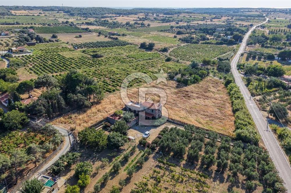 ÇANAKKALE BOZCAADA AMERİKAN ÇEŞME SATILIK ASFALT CEPHE BAĞ