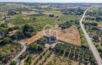 ÇANAKKALE BOZCAADA AMERİKAN ÇEŞME SATILIK ASFALT CEPHE BAĞ