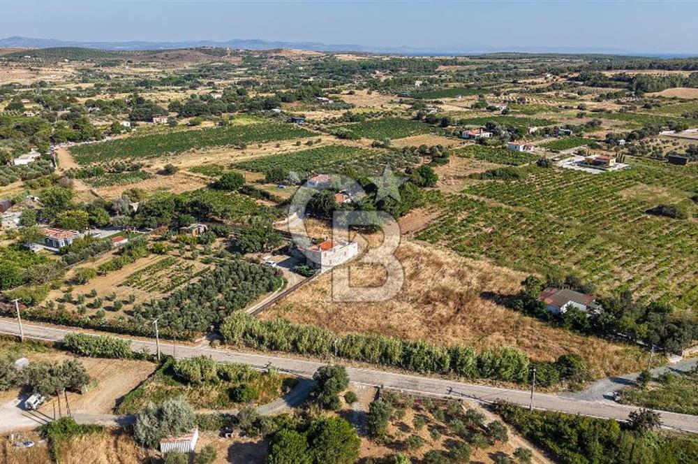 ÇANAKKALE BOZCAADA AMERİKAN ÇEŞME SATILIK ASFALT CEPHE BAĞ